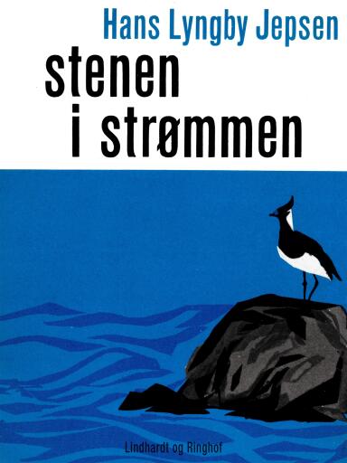 Stenen i strømmen