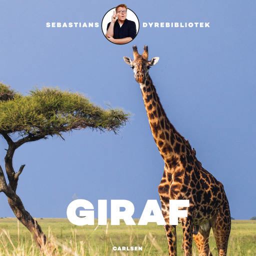 Sebastians dyrebibliotek – Giraf