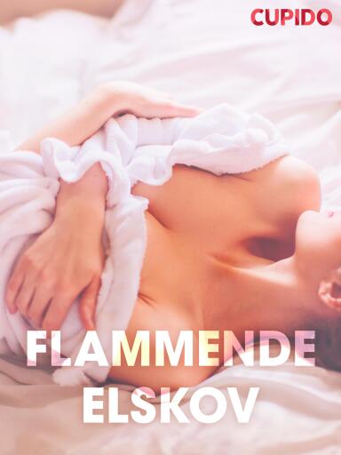 Flammende elskov – erotiske noveller