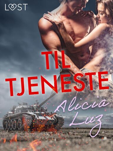 Til tjeneste – erotisk novelle