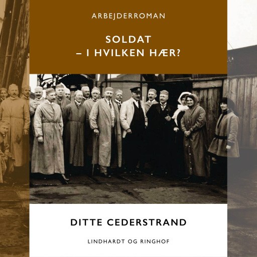 Soldat – i hvilken hær?