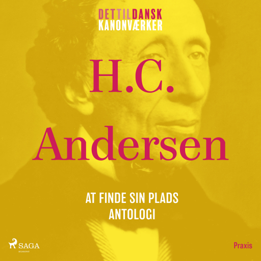 At finde sin plads - en antologi. Et kanonværk