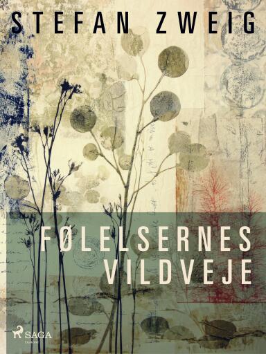 Portada del libro «Følelsernes vildveje», de Stefan Zweig