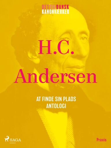 At finde sin plads - en antologi. Et kanonværk