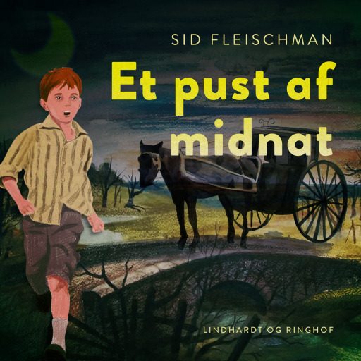 Portada del audiolibro «Et pust af midnat»
