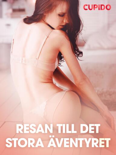 Portada del libro «Resan till det stora äventyret - erotiska noveller», de Cupido