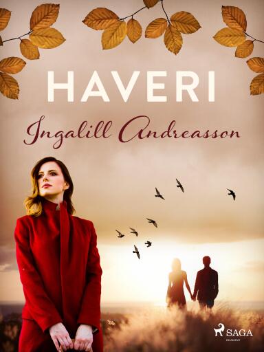 Portada del libro «Haveri»