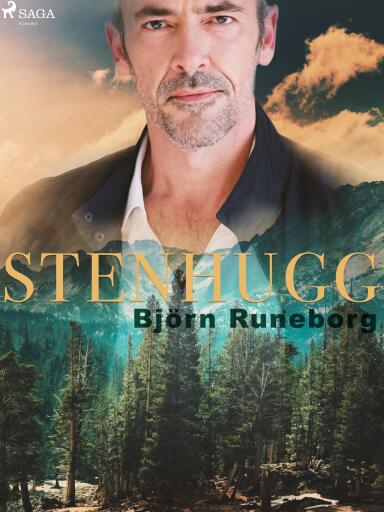 Portada del libro «Stenhugg», de Björn Runeborg