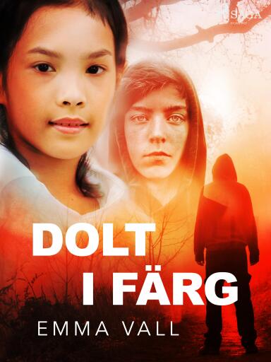 Portada del libro «Dolt i färg», de Emma Vall