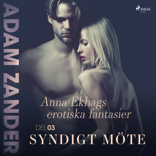 Portada del audiolibro «Syndigt möte – Anna Ekhags erotiska fantasier del 3», de Adam Zander