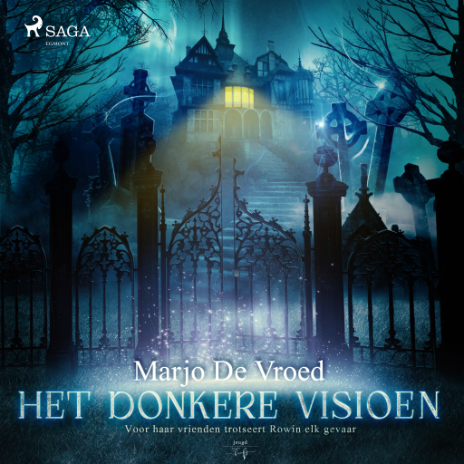 Portada del audiolibro «Het donkere visioen», de Marjo De Vroed