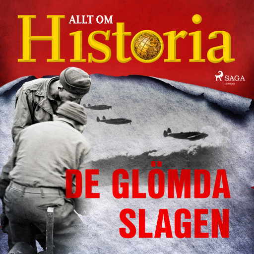 De glömda slagen