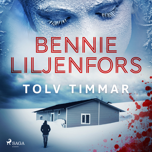 Tolv timmar