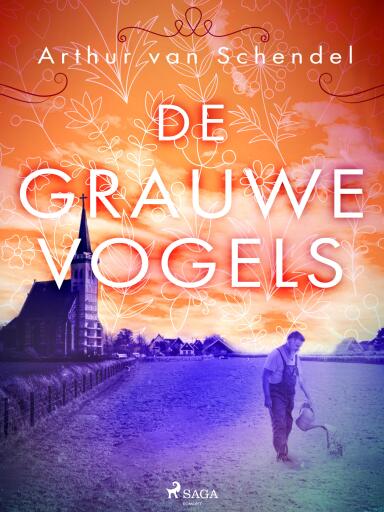 Portada del libro «De grauwe vogels», de Arthur van Schendel
