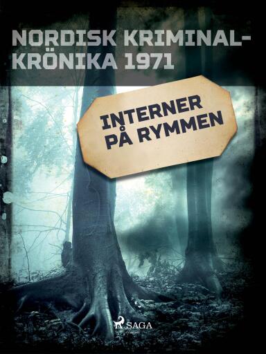 Portada del libro «Interner på rymmen», de Svenska Polisidrottsförlaget