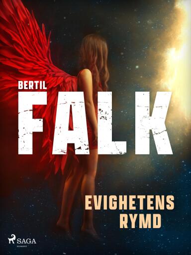 Portada del libro «Evighetens Rymd», de Bertil Falk