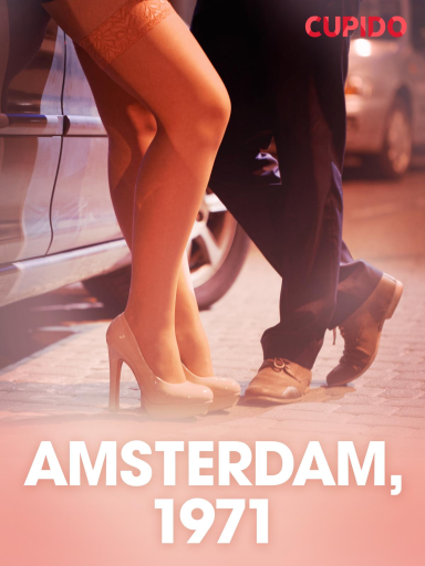 Portada del libro «Amsterdam, 1971 – eroottinen novelli», de Cupido