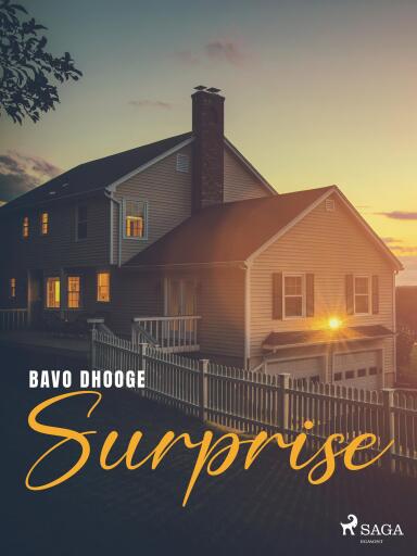 Portada del libro «Surprise», de Bavo Dhooge