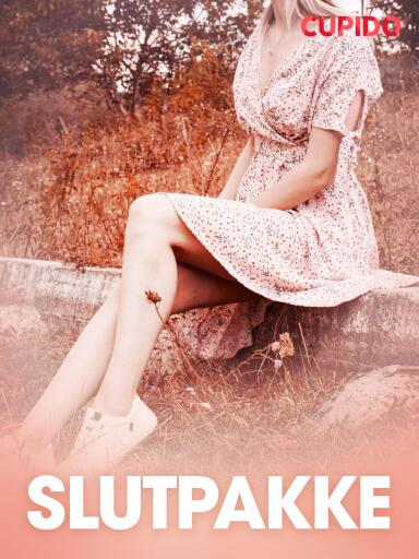 Portada del libro «Slutpakke – erotisk novelle», de Cupido