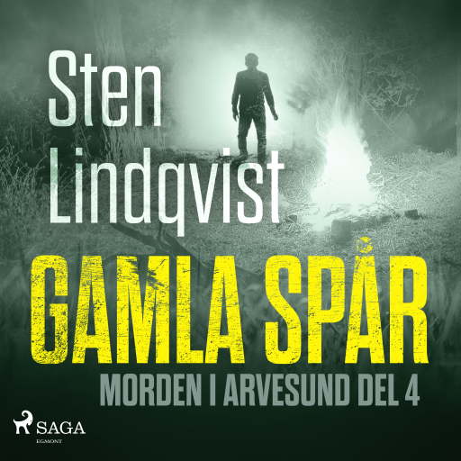 Portada del audiolibro «Gamla spår», de Sten Lindqvist