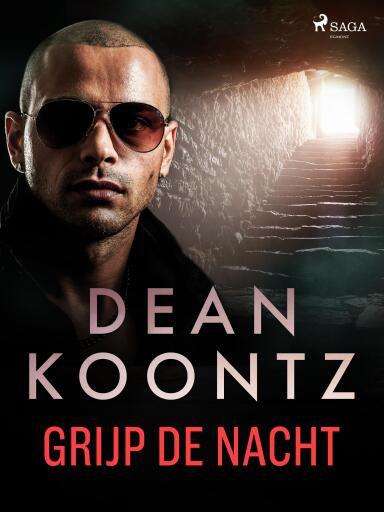 Portada del libro «Grijp de nacht», de Dean Koontz