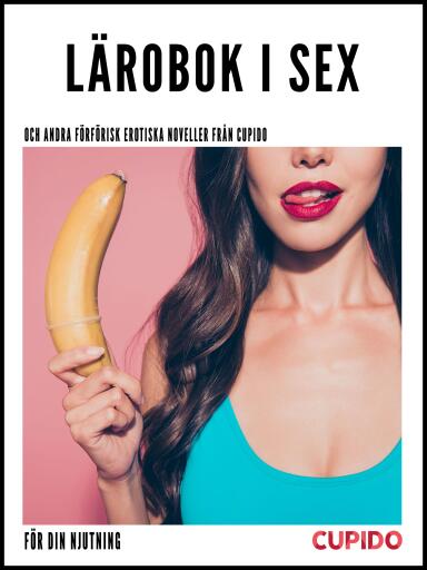 Portada del libro «Lärobok i sex - och andra förförisk erotiska noveller från Cupido», de Cupido