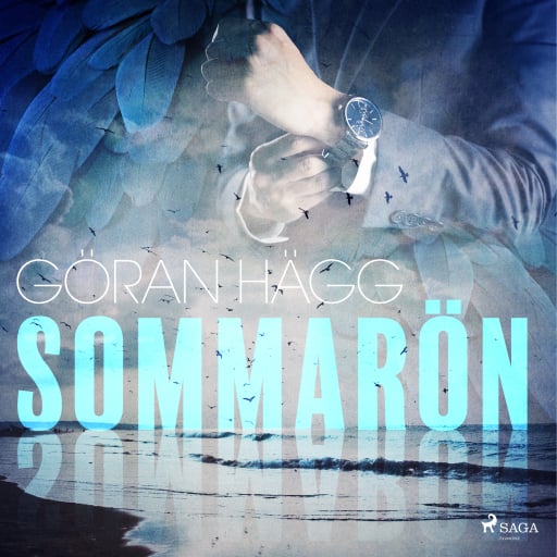Portada del audiolibro «Sommarön», de Göran Hägg