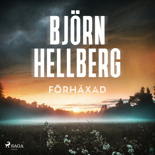 Portada del audiolibro «Förhäxad», de Björn Hellberg