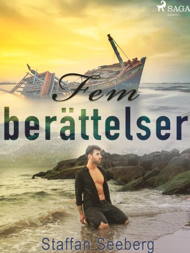 Portada del libro «Fem berättelser», de Staffan Seeberg
