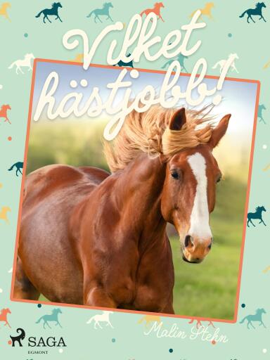 Portada del libro «Vilket hästjobb!», de Malin Stehn