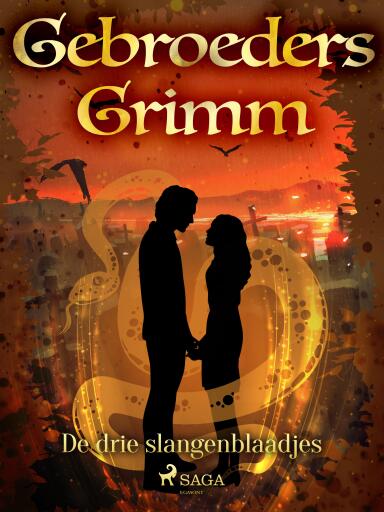 Portada del libro «De drie slangenblaadjes», de De gebroeders Grimm