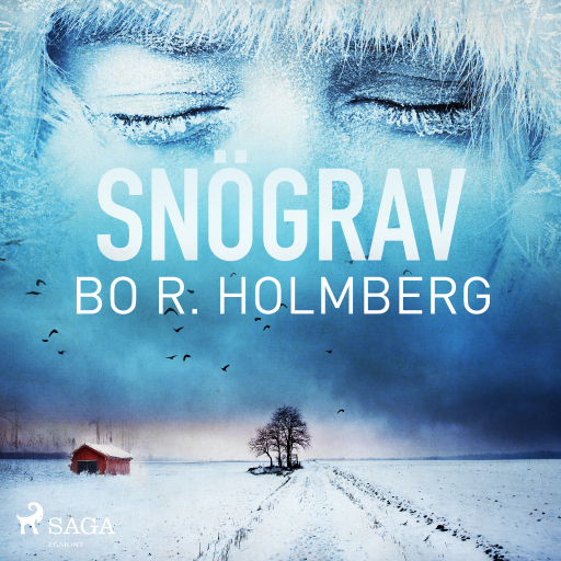 Portada del audiolibro «Snögrav», de Bo R. Holmberg