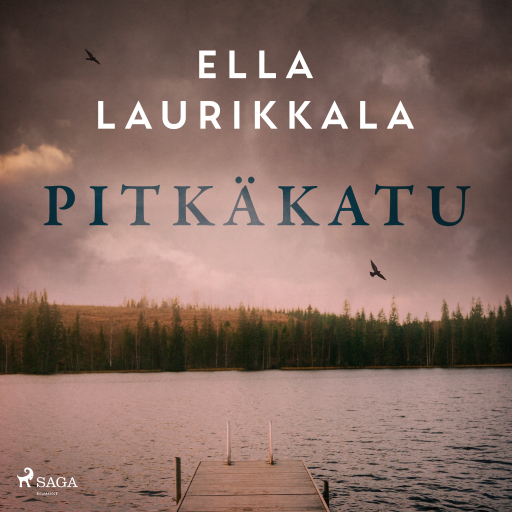 Portada del audiolibro «Pitkäkatu»