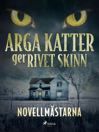 Portada del libro «Arga katter ger rivet skinn», de Novellmästarna