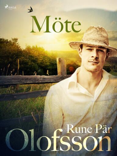 Portada del libro «Möte», de Rune Pär Olofsson
