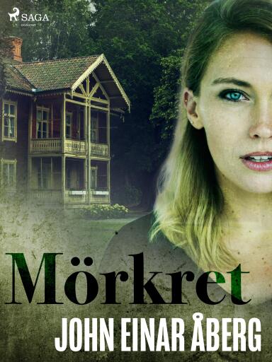 Portada del libro «Mörkret», de John Einar Åberg