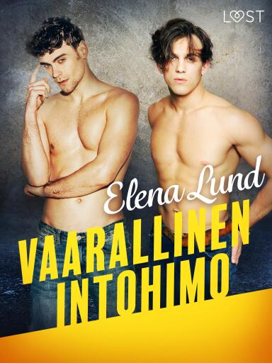 Portada del libro «Vaarallinen intohimo - eroottinen novelli», de Elena Lund