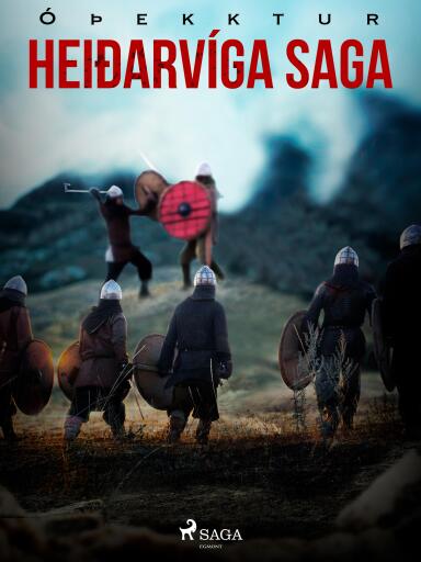 Portada del libro «Heiðarvíga saga», de Óþekktur