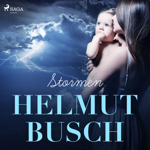 Portada del audiolibro «Stormen», de Helmut Busch