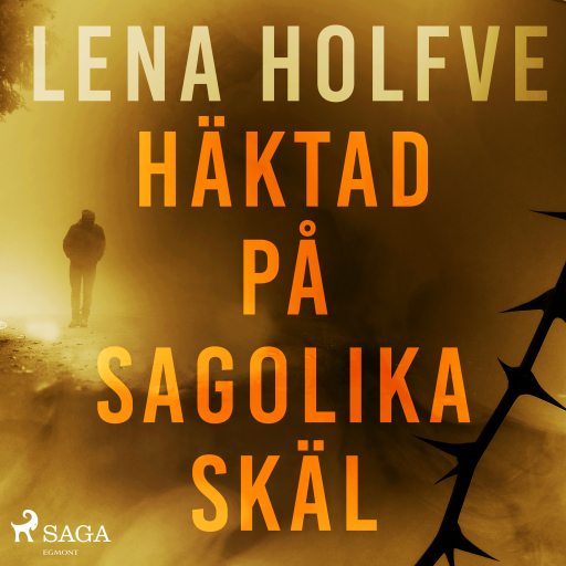 Portada del audiolibro «Häktad på sagolika skäl», de Lena Holfve