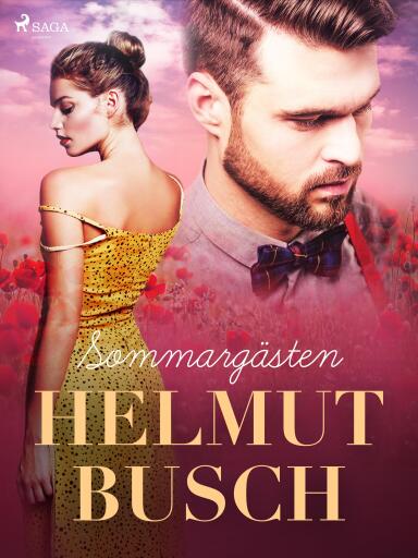 Portada del libro «Sommargästen», de Helmut Busch