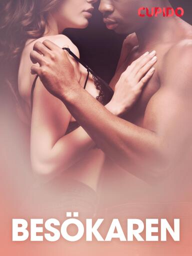 Portada del libro «Besökaren – erotisk novell», de Cupido