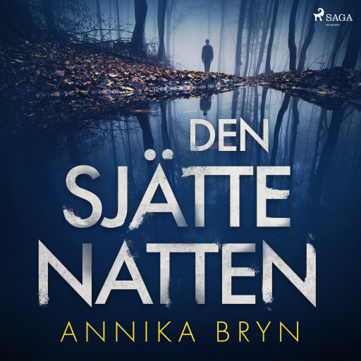 Portada del audiolibro «Den sjätte natten», de Annika Bryn