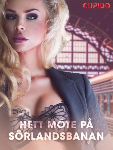 Portada del libro «Hett möte på Sörlandsbanan - erotiska noveller», de Cupido