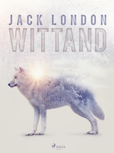 Portada del libro «Wittand»