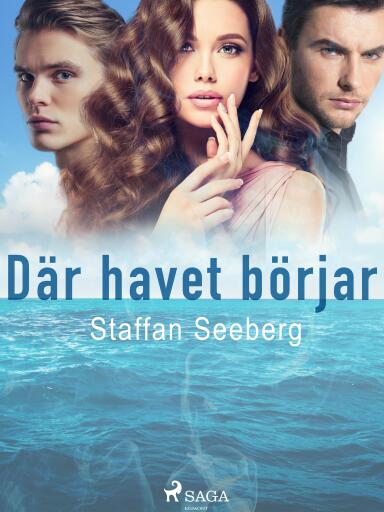 Portada del libro «Där havet börjar», de Staffan Seeberg