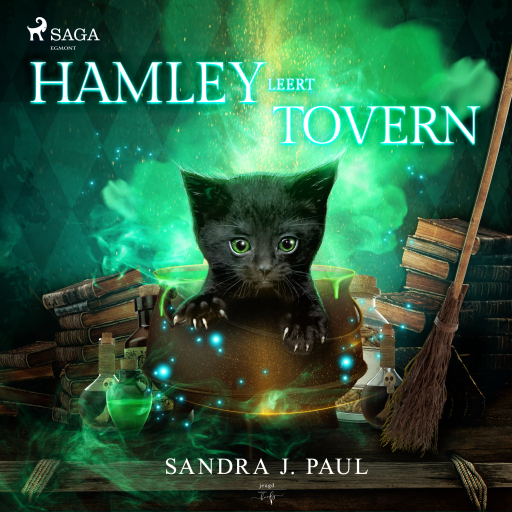 Portada del audiolibro «Hamley leert toveren», de Sandra J. Paul