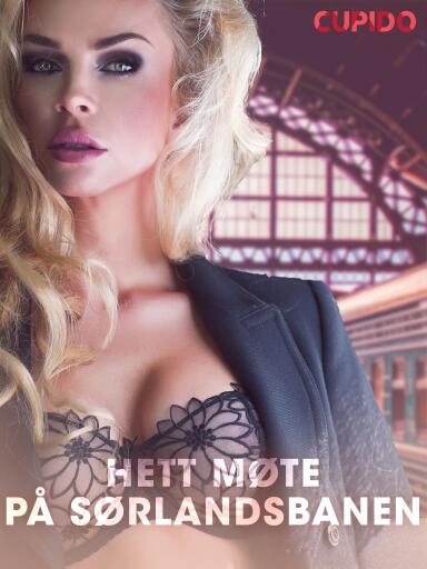 Portada del libro «Hett møte på Sørlandsbanen – erotiske noveller», de Cupido