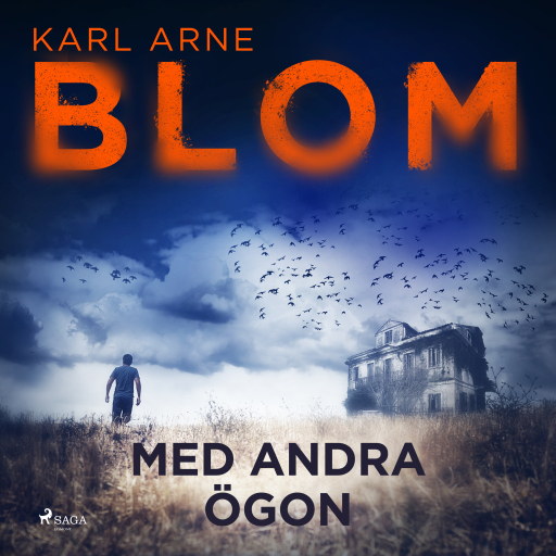 Portada del audiolibro «Med andra ögon», de Karl Arne Blom