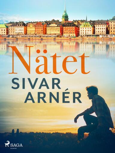 Portada del libro «Nätet», de Sivar Arnér